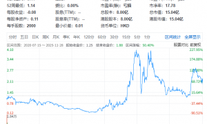 大山教育(09986)遭香港证监会勒令停牌，或涉财务造假