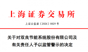 信息发布不准确、不完整 风险提示不充分！双良节能及有关责任人被上交所警示