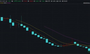 IFBH陷业绩信任双重泥潭 纸面富贵戳破高增长泡沫