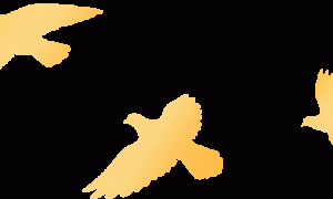 好药"卖青苗"？张文宏委员发出灵魂之问！中国“好苗子”一转手到国外，对方回报超10倍暴利！如何破解→